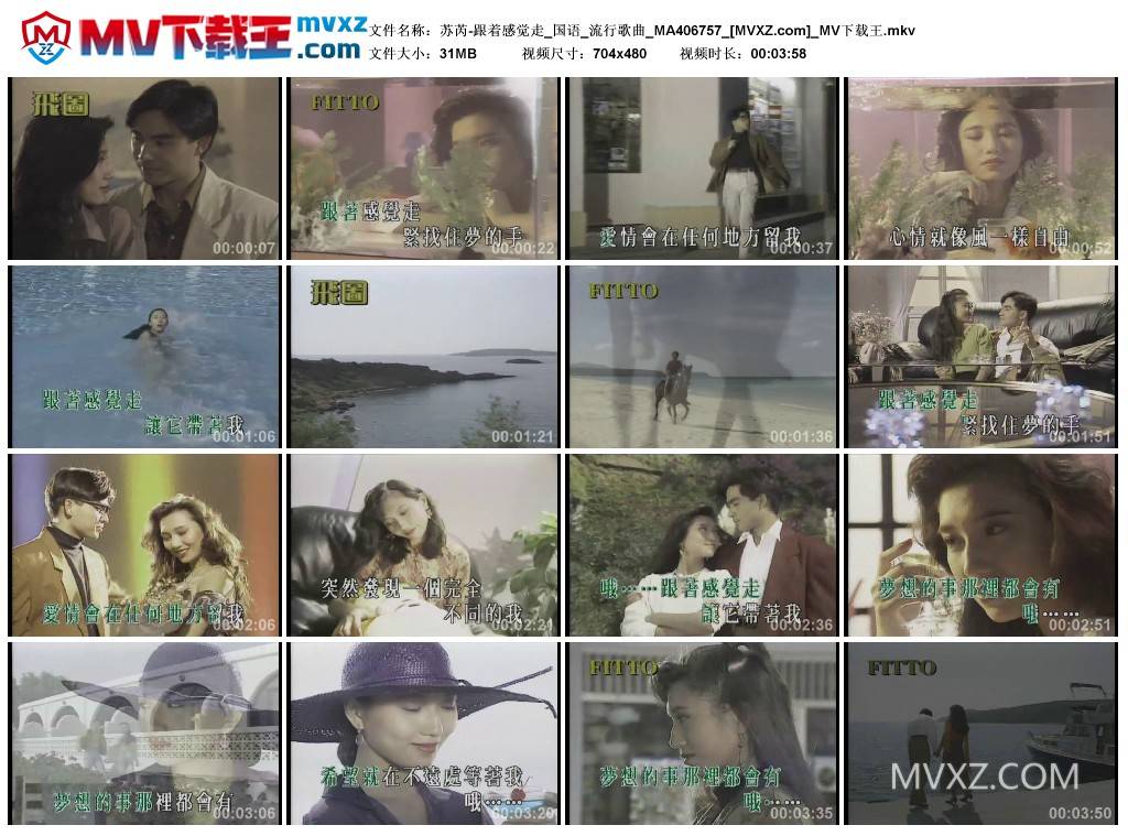 苏芮-跟着感觉走_国语_流行歌曲_MA406757